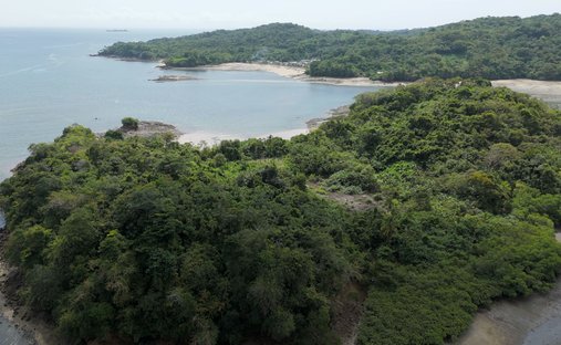 Terreno a Pedro González, Guna Yala, Panamá 1