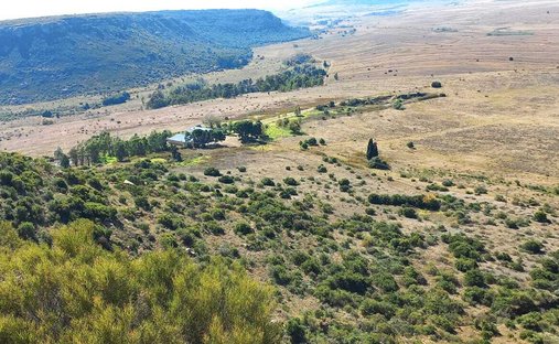 Farm Ranch in Ladybrand, Free State, South Africa 1
