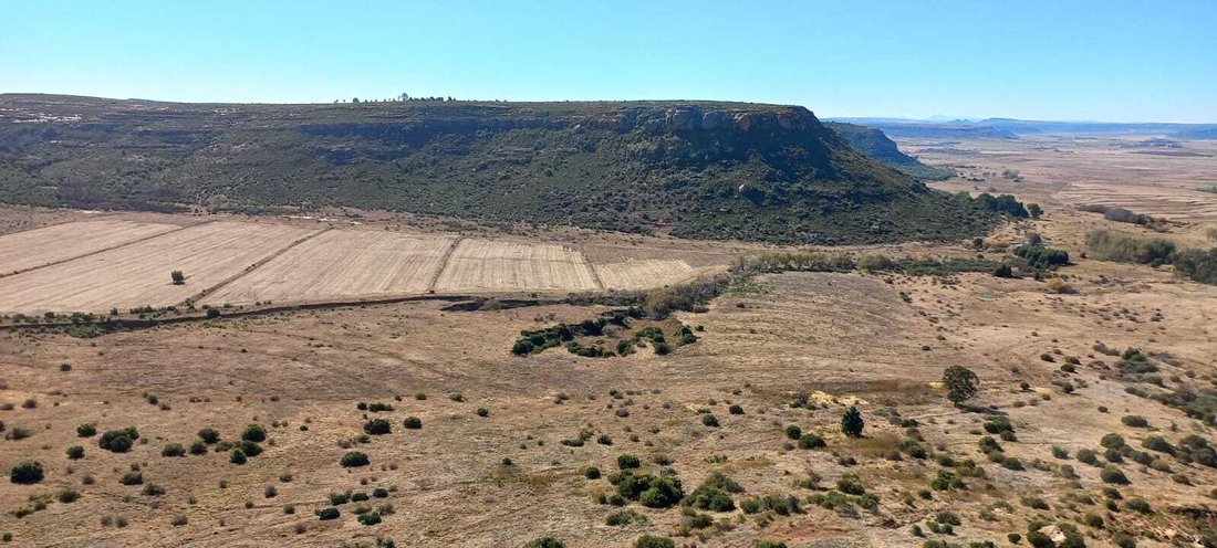 Farm Ranch in Mantsopa Local Municipality, Free State, South Africa 4 - 14995196