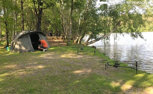 Castle for Sale in Saint-Martin, Brittany, France