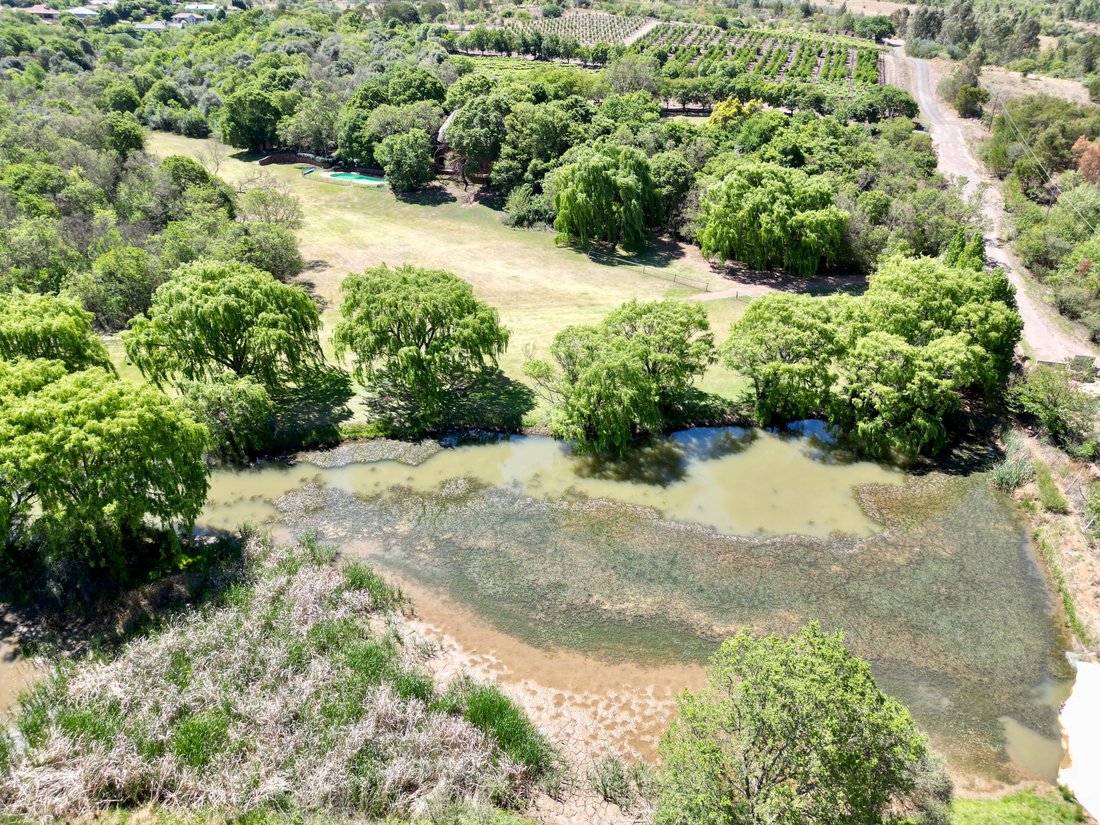Farm Ranch in Pretoria Central, Gauteng, South Africa 4 - 14996349