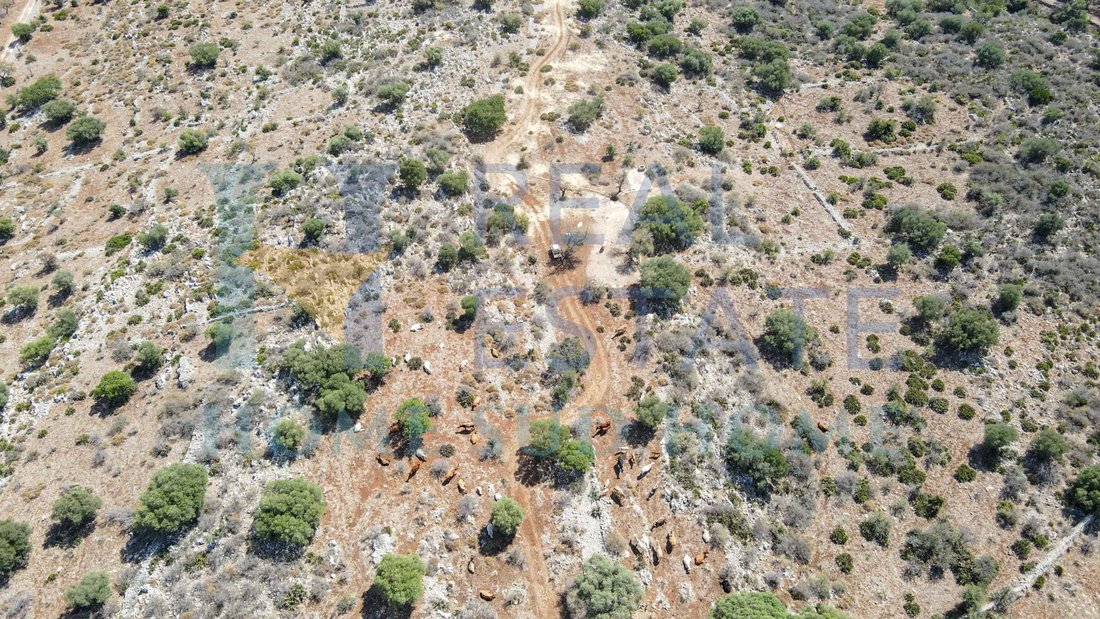 Land in Center, Noto, Sicily 2 - 14994230