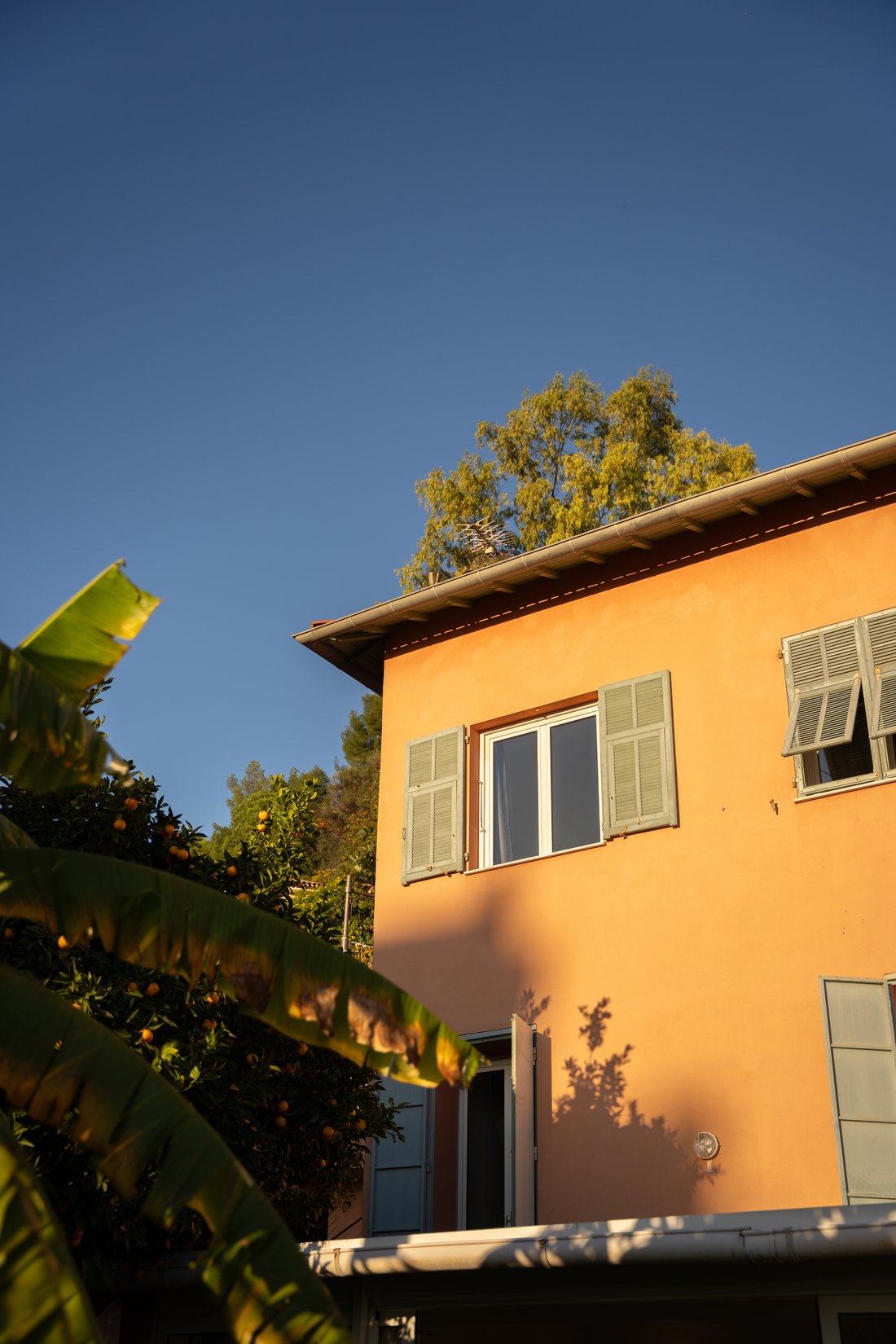 House in Roquebrune-Cap-Martin, Provence-Alpes-Côte d'Azur, France 4 - 15001192
