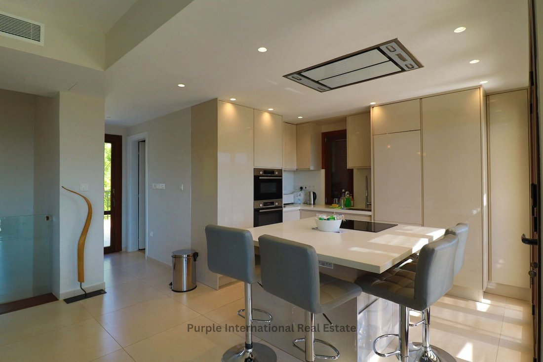 Villa in Kouklia, Paphos, Cyprus 4 - 15002738