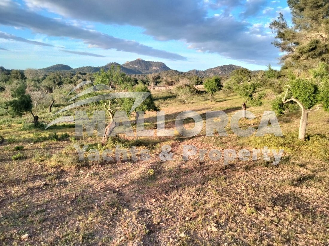 Land in Felanitx, Balearic Islands, Spain 1 - 15004347