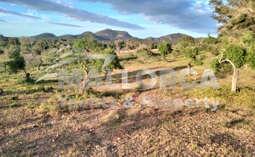 Land in Felanitx, Balearic Islands, Spain 1