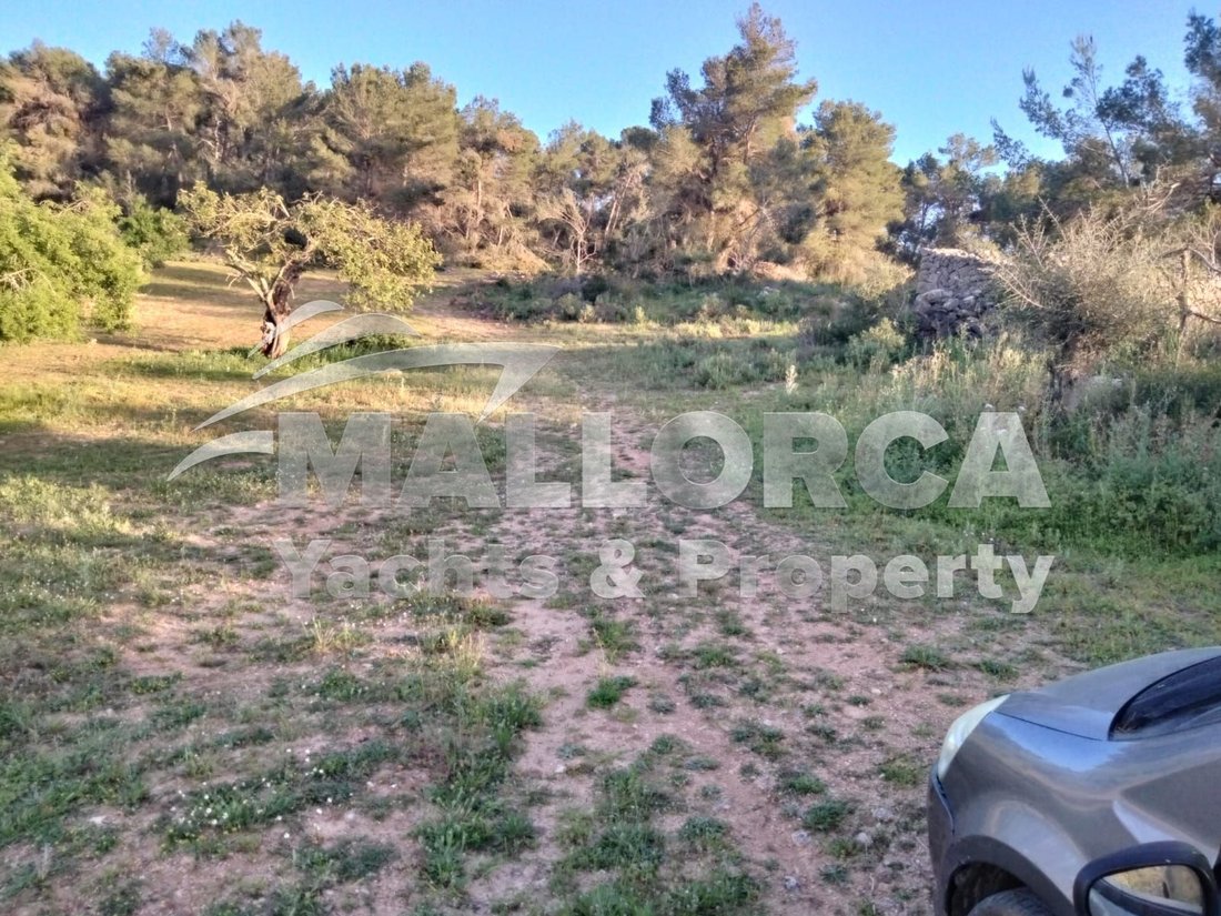 Land in Felanitx, Balearic Islands, Spain 5 - 15004347