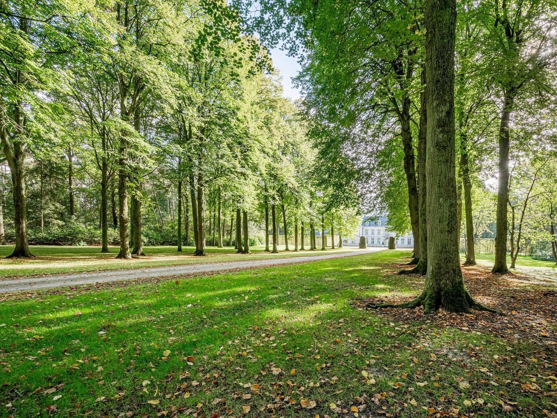 Waasmunster, Flanders, Belgium 2 - 15006471