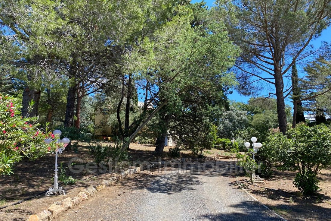 Villa in Thuir, Occitania, France 5 - 15005981