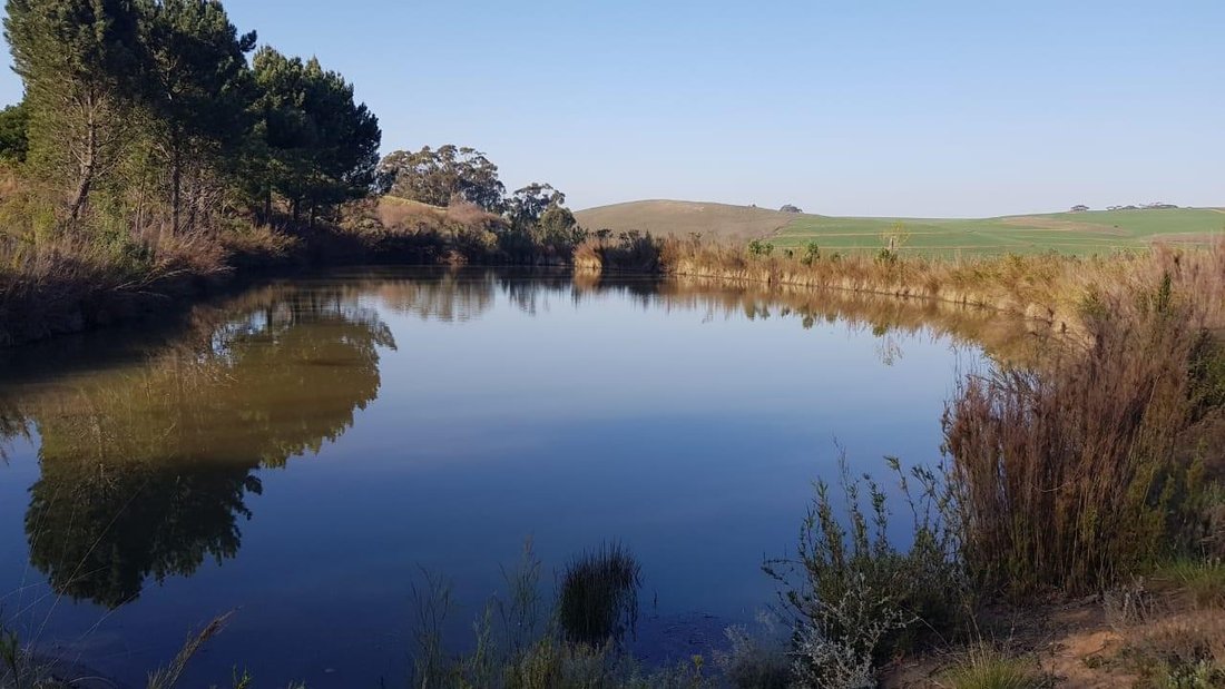 Farm Ranch in Theewaterskloof Local Municipality, Western Cape, South Africa 4 - 15004409