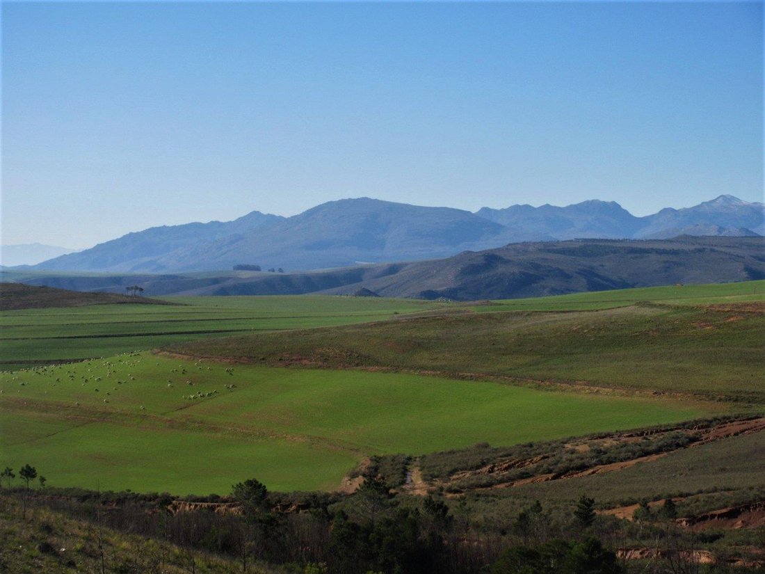 Farm Ranch in Theewaterskloof Local Municipality, Western Cape, South Africa 1 - 15004409