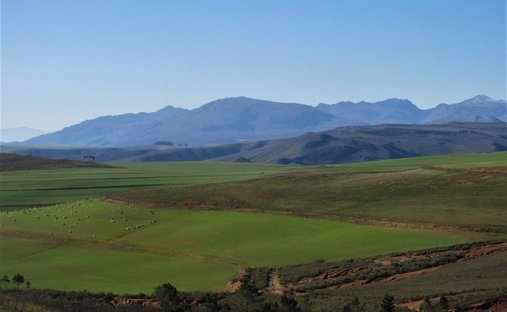 Farm Ranch in Klipkraal, Western Cape, South Africa 1