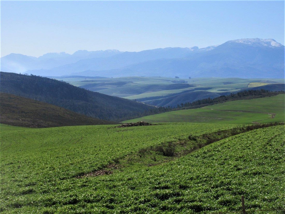 Farm Ranch in Theewaterskloof Local Municipality, Western Cape, South Africa 2 - 15004409