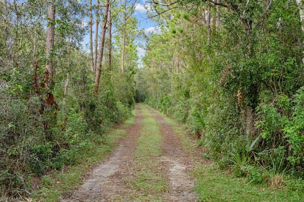 House in Punta Gorda, Florida, United States 4 - 15005972