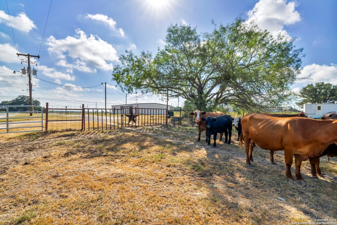 Land in La Vernia, Texas, United States 3 - 14823775