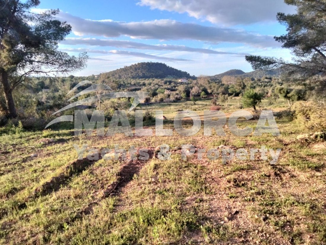 Land in Felanitx, Balearic Islands, Spain 4 - 15004347