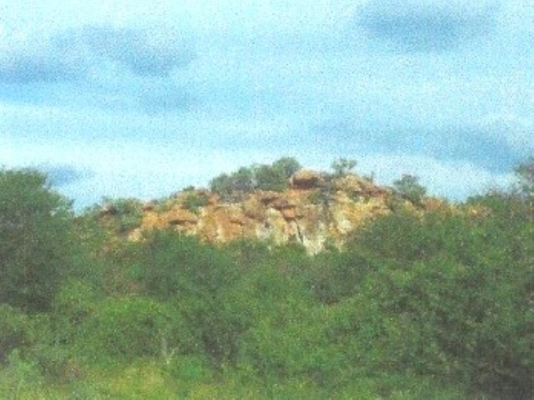 Farm Ranch in Lephalale, Limpopo, South Africa 5 - 15004421