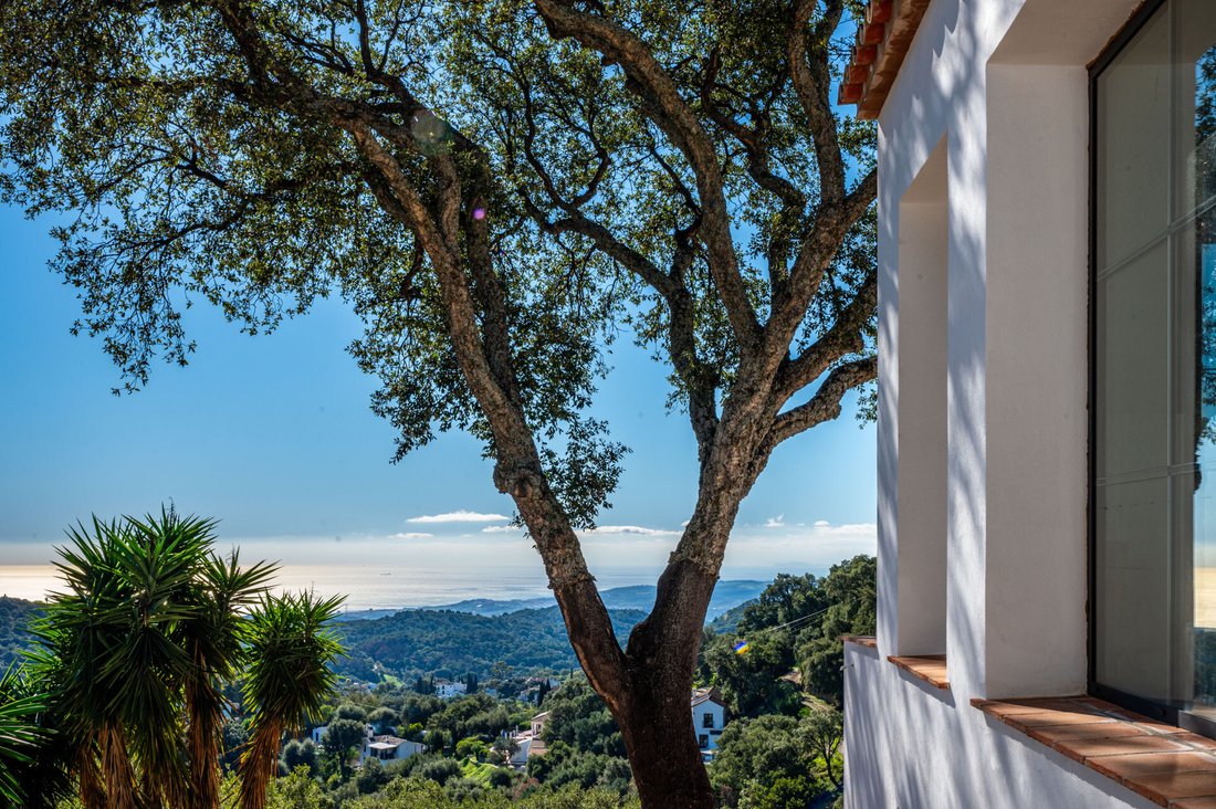 Country House in Casares, Andalusia, Spain 1 - 15006802