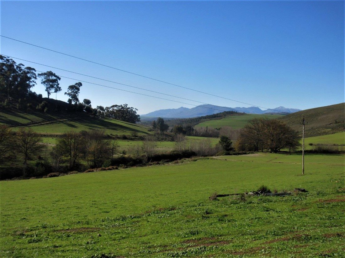 Farm Ranch in Theewaterskloof Local Municipality, Western Cape, South Africa 3 - 15004409