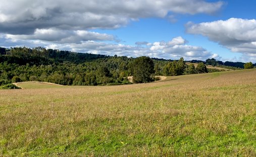 Farm Ranch in Puerto Varas, Los Lagos, Chile 1
