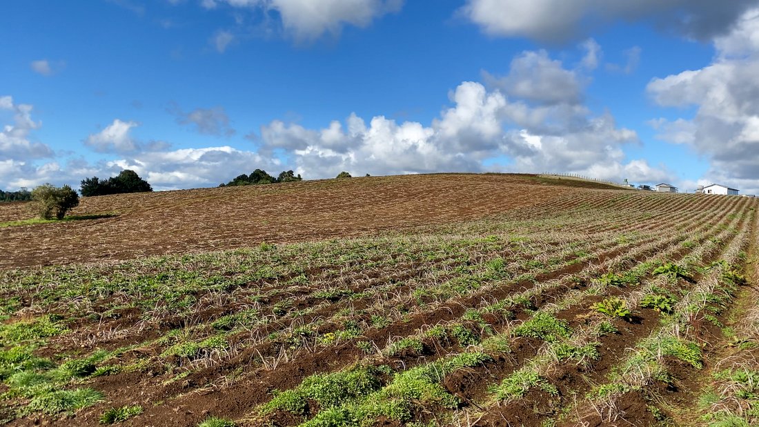 Corps de ferme à Ensenada, Les Lacs, Chili 5 - 15008477