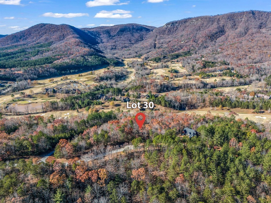 House in Mill Spring, North Carolina, United States 4 - 15010782