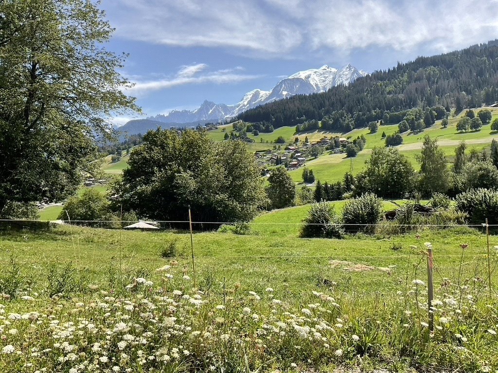 Chalet in Combloux, Auvergne-Rhône-Alpes, France 5 - 15009537