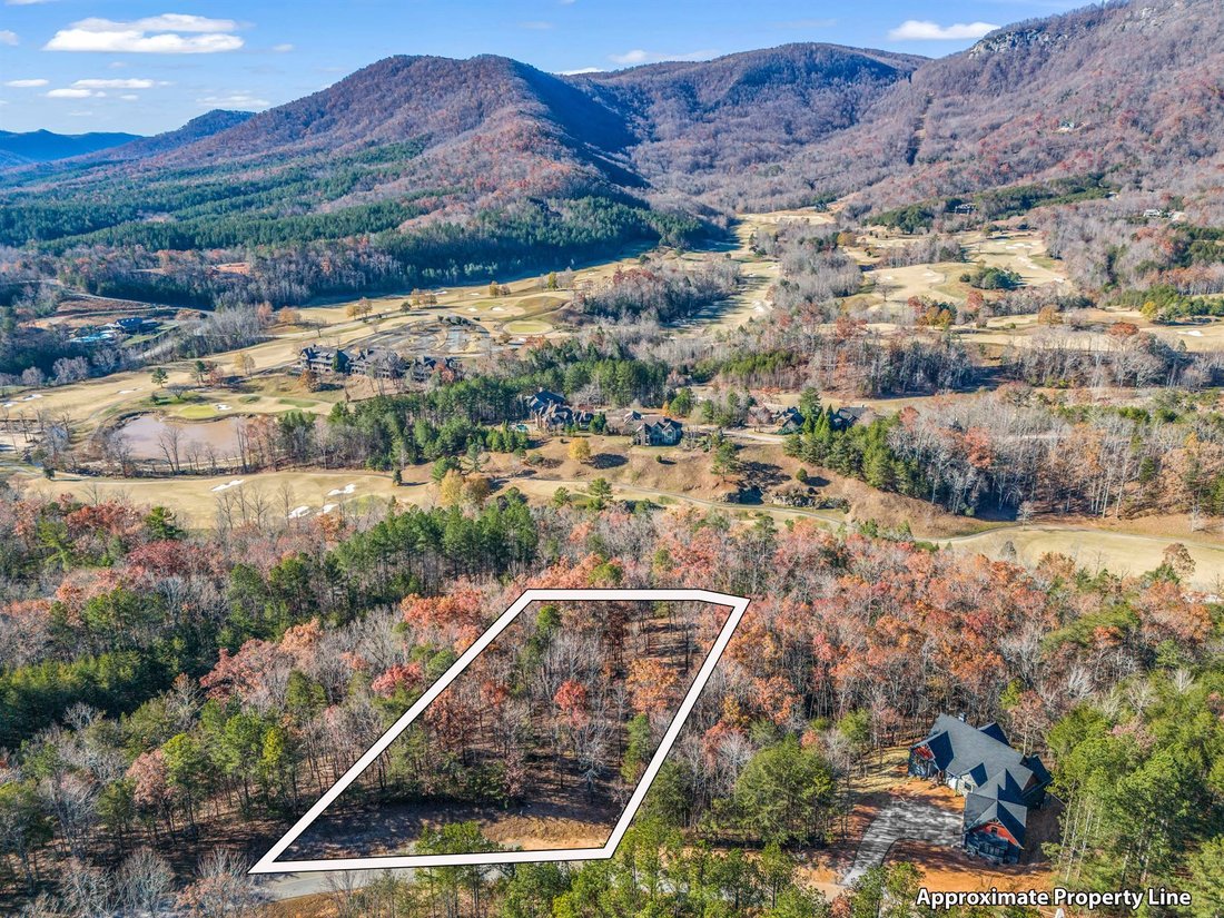 House in Mill Spring, North Carolina, United States 3 - 15010782