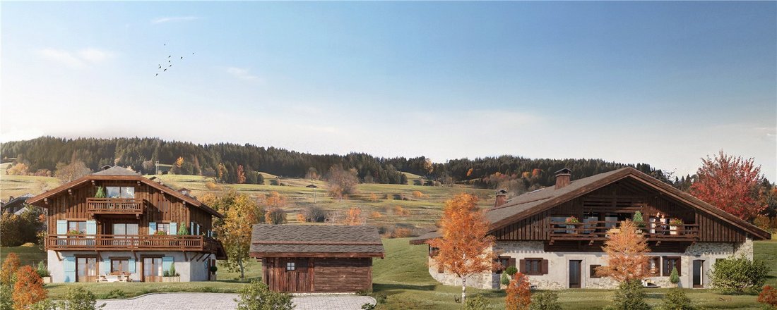 Chalet in Demi-Quartier, Auvergne-Rhône-Alpes, France 2 - 15009538