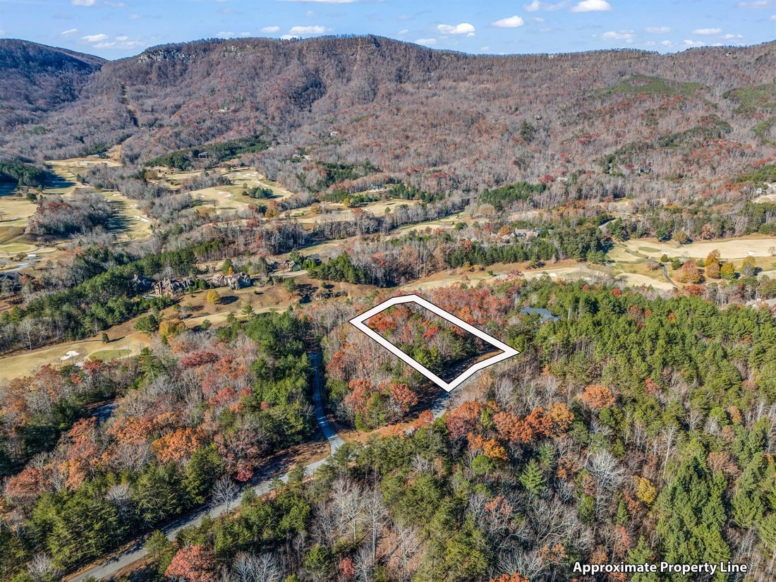 House in Mill Spring, North Carolina, United States 5 - 15010782