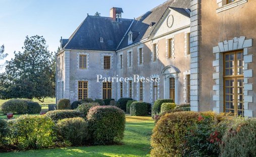 Haut Anjou 17th Century Mh Listed Castle With Outbuildings, 18ha (Option On 5ha More) Park, River,