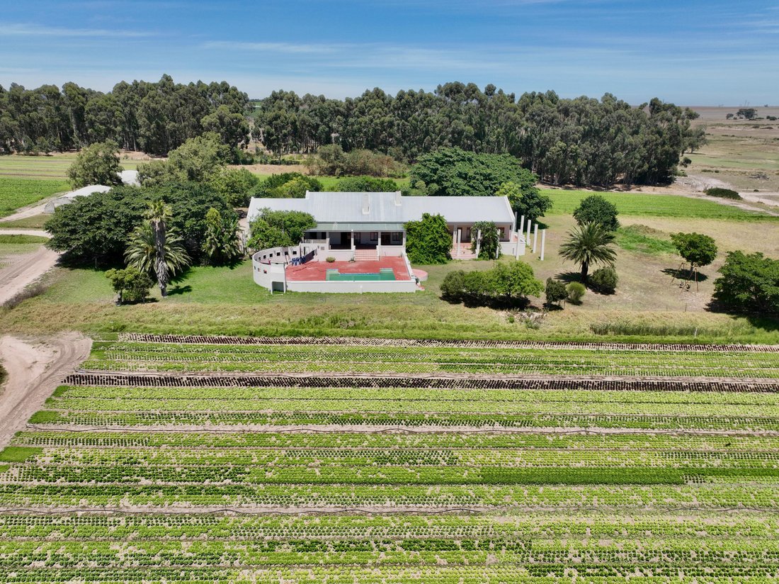 Expansive 32 Hectare Farm: Endless In Klapmuts, Western Cape, South ...