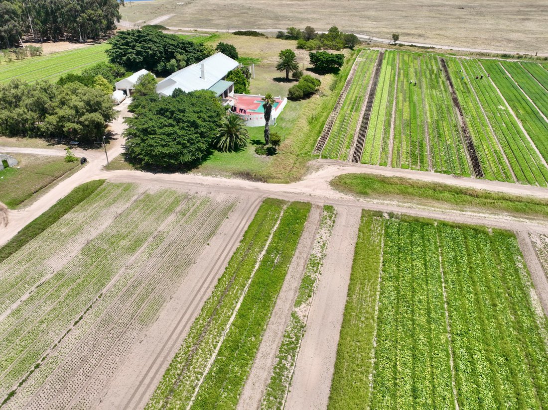 Expansive 32 Hectare Farm: Endless In Klapmuts, Western Cape, South ...