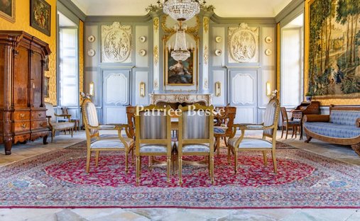 Haut Anjou 17th Century Mh Listed Castle With Outbuildings, 18ha (Option On 5ha More) Park, River,