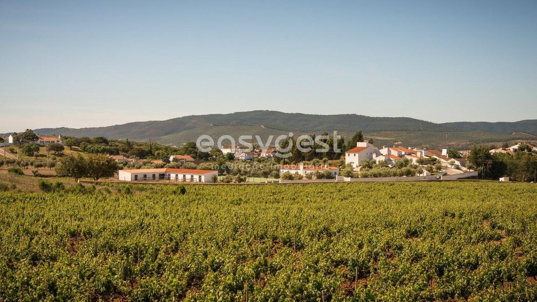 Farm Ranch in Estremoz (Santa Maria e Santo Andre), Évora District, Portugal 1 - 15011828