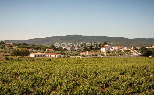 Farm Ranch in Estremoz (Santa Maria e Santo Andre), Évora District, Portugal 1