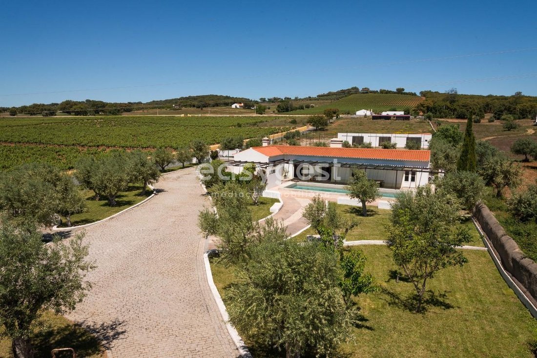 Farm Ranch in Estremoz (Santa Maria e Santo Andre), Évora District, Portugal 4 - 15011828