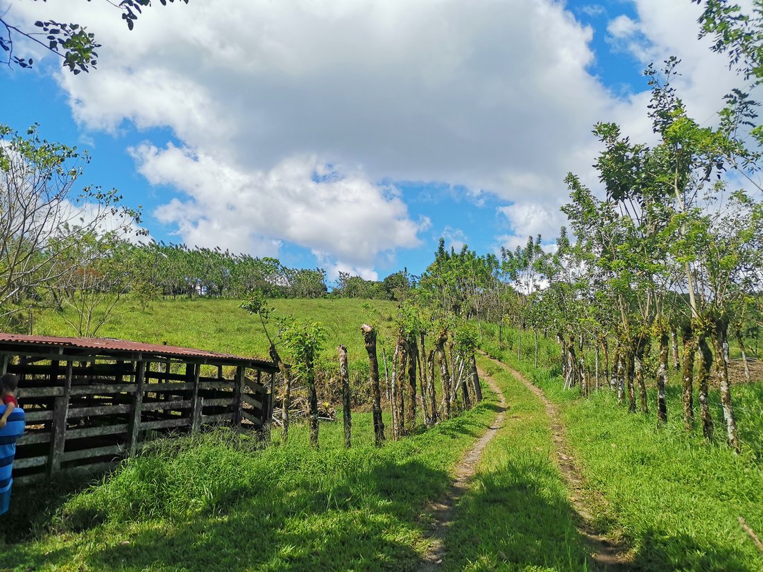 Land in Hacienda Buenos Aires, Alajuela Province, Costa Rica 4 - 15012638