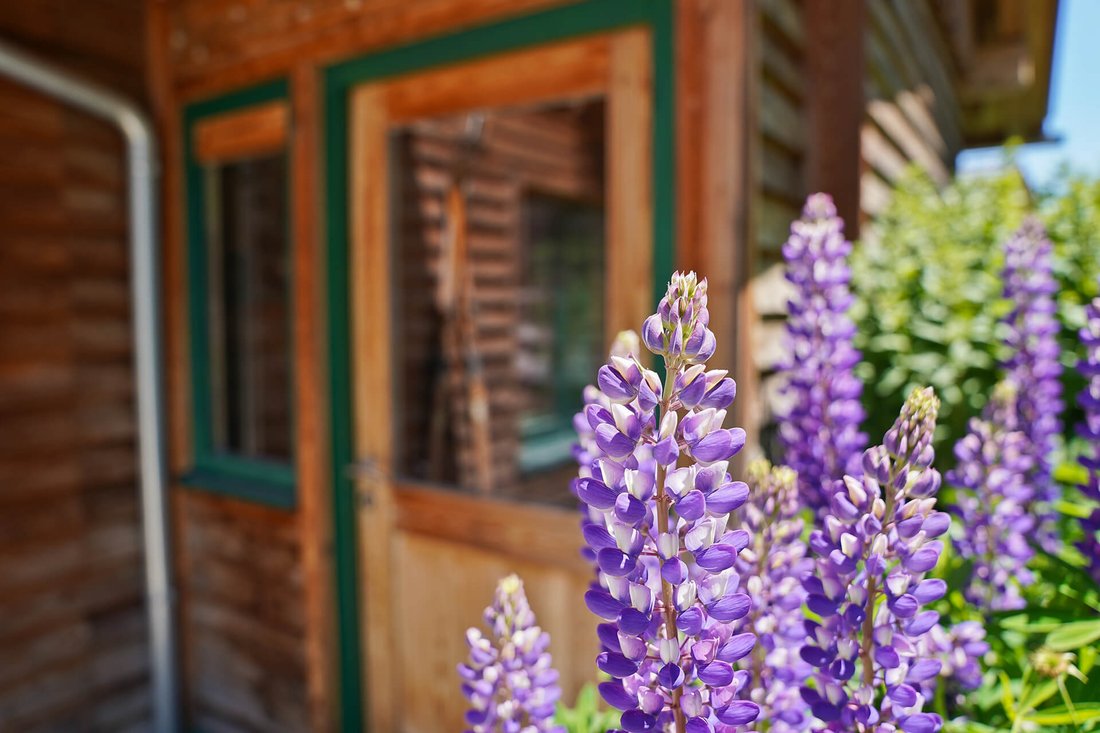 Chalet in Wolfsberg, Carinthia, Austria 3 - 13452738
