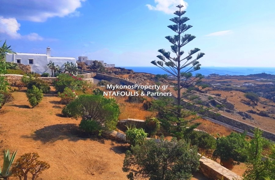 Mykonos, Aegean, Greece 3 - 12188030