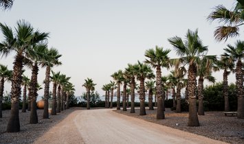 Villa a Sant Joan de Labritja, Isole Baleari, Spagna 1