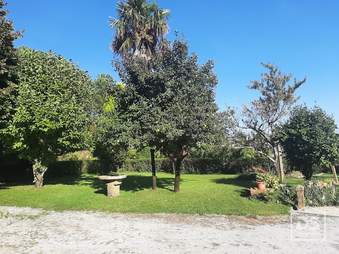 Farm Ranch in Cavernaes, Viseu District, Portugal 4 - 15012300