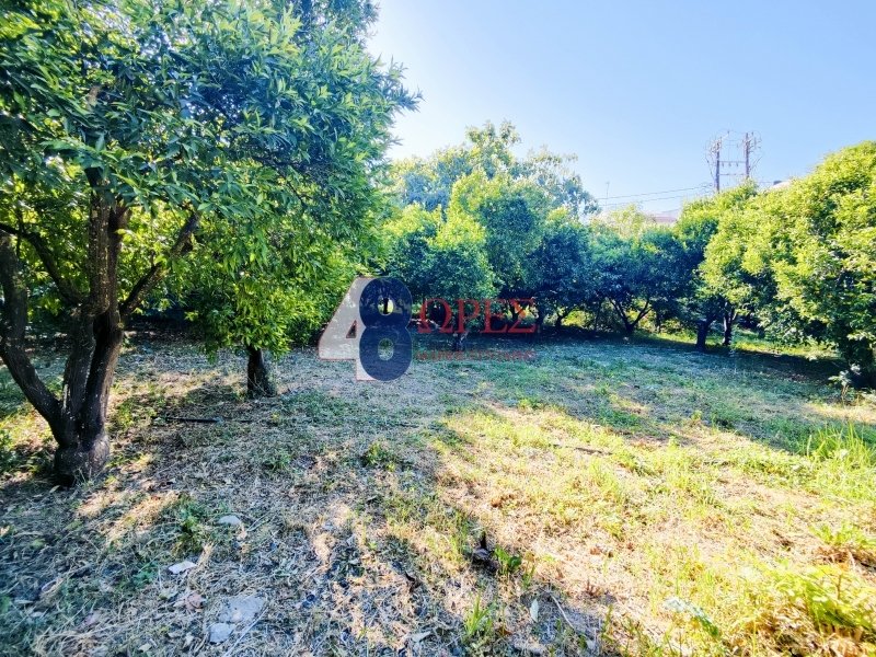 Land in Chios, Aegean, Greece 5 - 15012723
