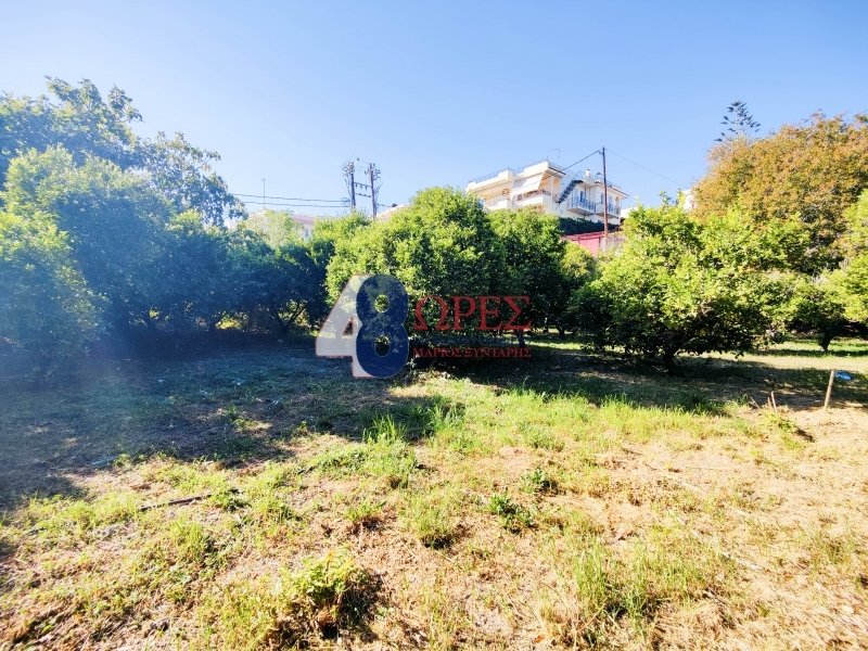 Land in Chios, Aegean, Greece 2 - 15012723