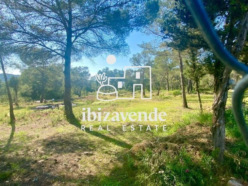 Villa in Sant Antoni de Portmany, Balearic Islands, Spain 4 - 15019411
