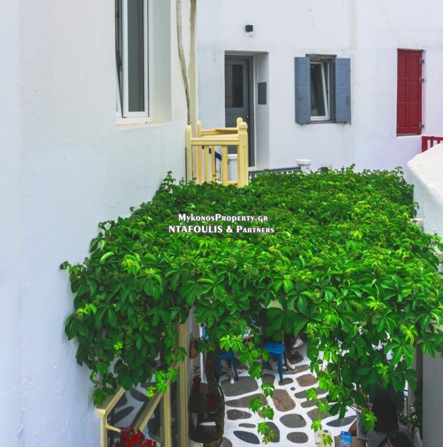 Apartment in Mykonos, Aegean, Greece 3 - 13854820