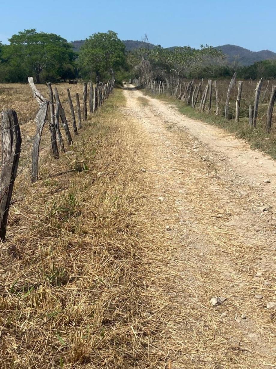 Land in Monteón, Nayarit, Mexico 4 - 15012362