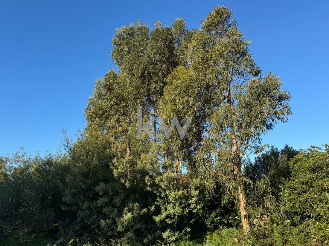 Land in Alcabideche, Lisbon, Portugal 4 - 15019233