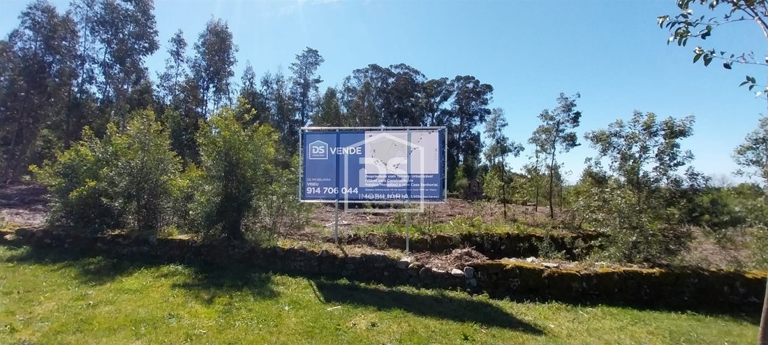 Farm Ranch in Mundao, Viseu District, Portugal 4 - 15012284