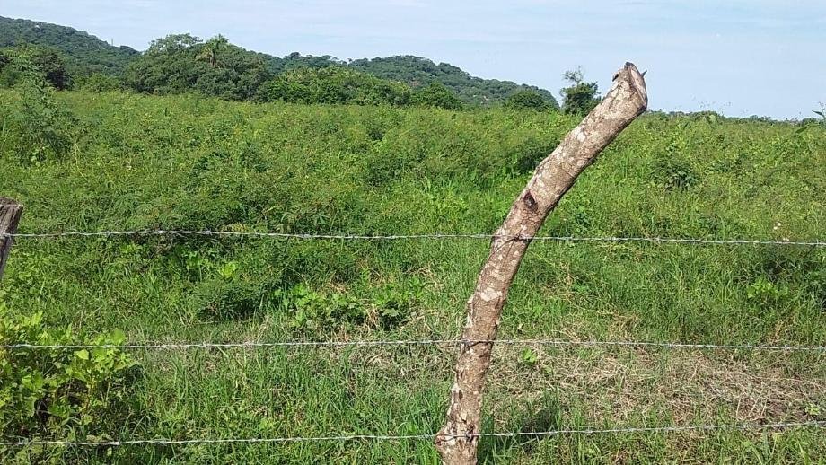 Land in Monteón, Nayarit, Mexico 3 - 15012362